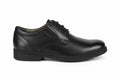 GEOX Federico Lace - Black